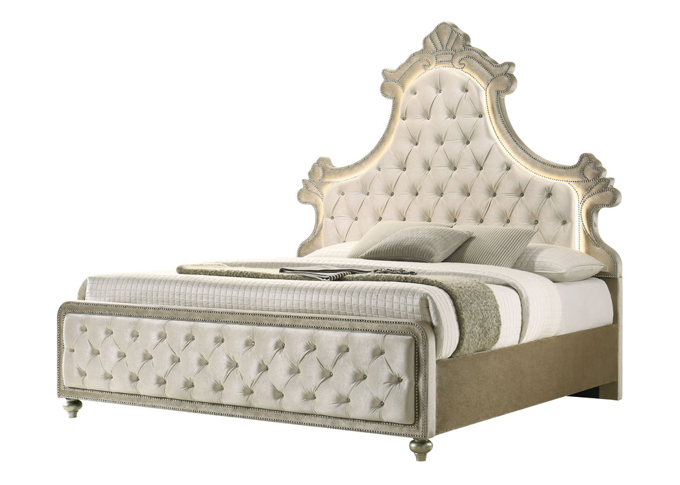 Lucienne -Queen Bed Velvet With LED - Beige