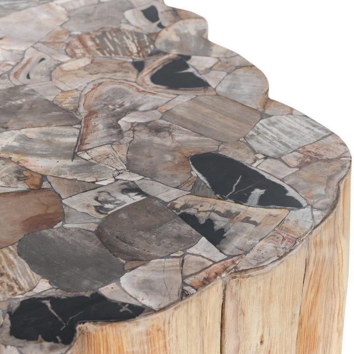 Norwest - Petrified Wood Coffee Table - Natural